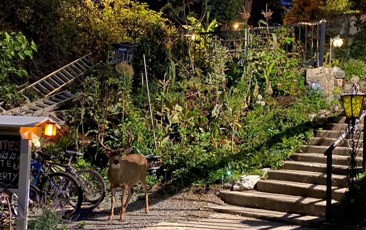 Hudson Homes Bnb Saanich Eksteriør bilde